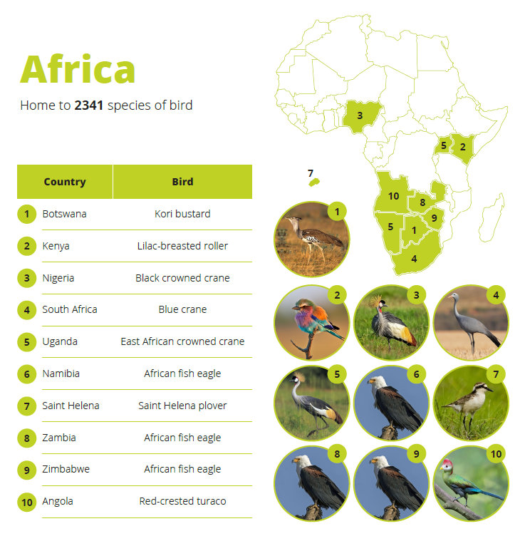 African national birds