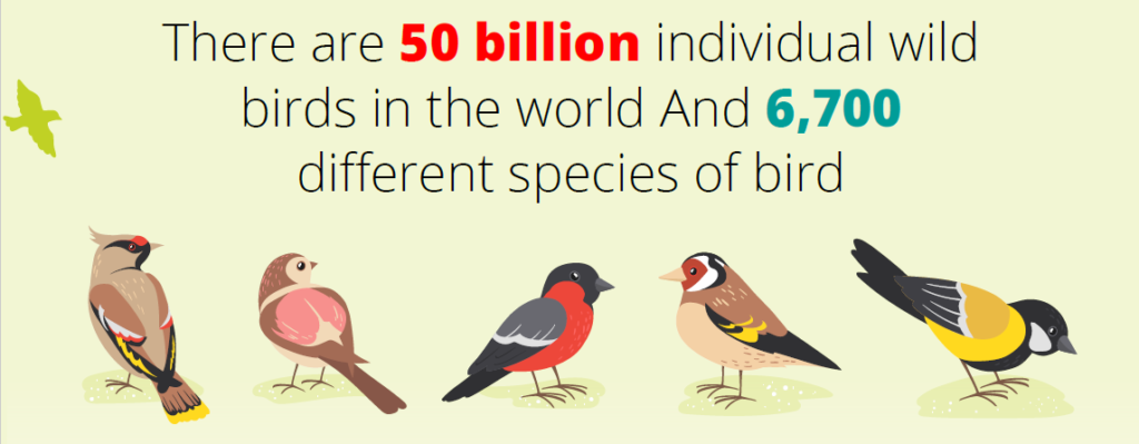 there are 50 billion wild birds in the world
