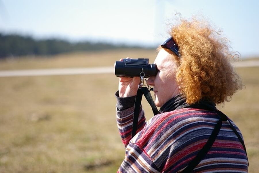 a birdwatcher using binoculars