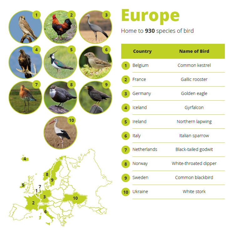 Europe national birds