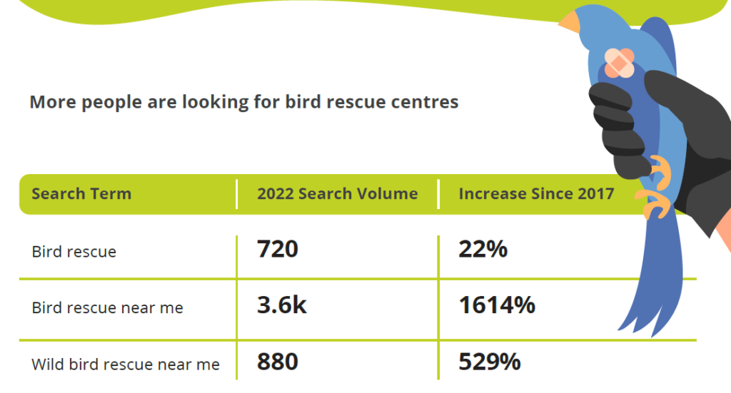 More people are looking for bird rescue centres